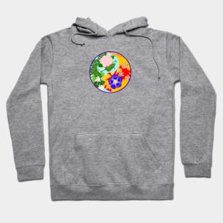 Spring/Fall Hoodie